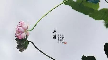5.6【毓·文化】立夏丨又是一年芳草碧，满架蔷薇一院香1300.png