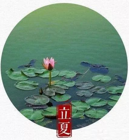 5.6【毓·文化】立夏丨又是一年芳草碧，满架蔷薇一院香1387.png